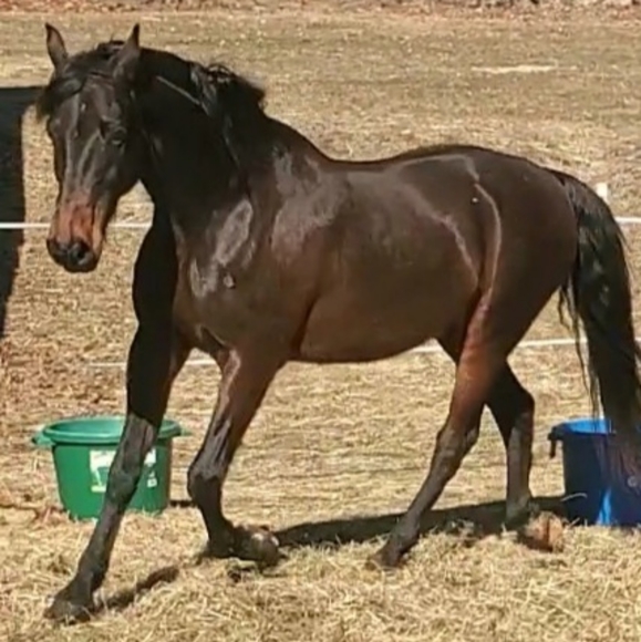 Meet your Posher, Emily - Picture 6 of 8